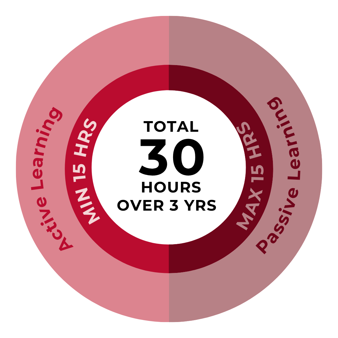 "Four categories of professional development: technical knowledge, leadership training, professional contributions, and peer interaction, each with specific activities and timing requirements."