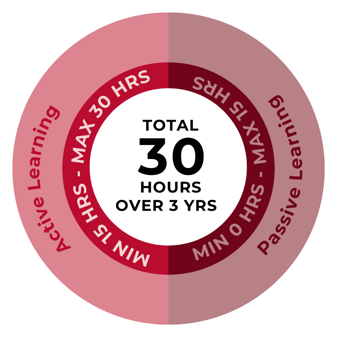 "Four categories of professional development: technical knowledge, leadership training, professional contributions, and peer interaction, each with specific activities and timing requirements."