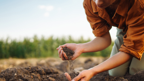 /getmedia/985cc176-5cb0-4205-9171-d4f2c078fd56/soil-engineer.png?width=487&height=275&ext=.png